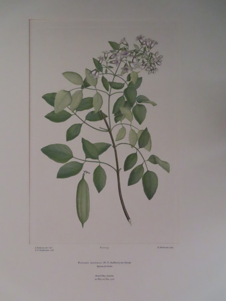 image FDA-E.2916_11_21-2016-A