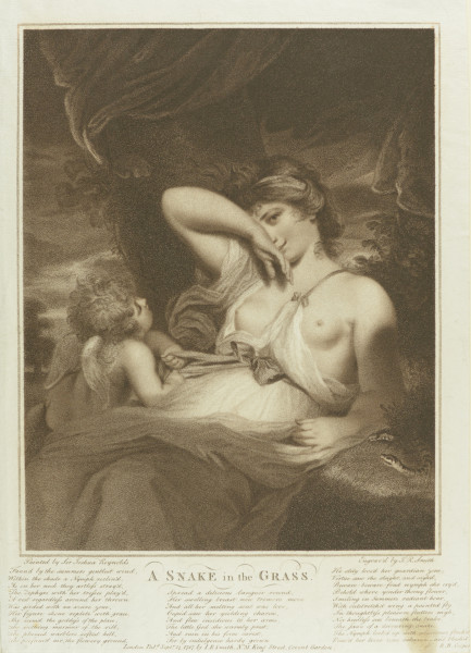 FDA-E.409-2010 image FDA-E.409-2010