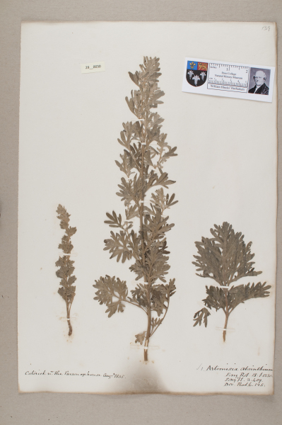 NHM_HH_29.30-2010 image NHM_HH_29.30-2010