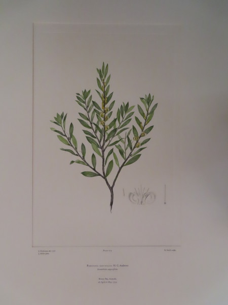 image FDA-E.2916_13_7-2016