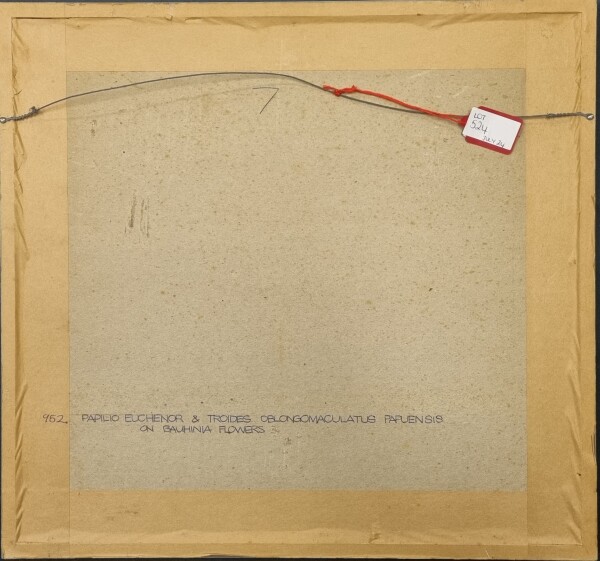 FDA-D.1787-2025-D image FDA-D.1787-2025-D