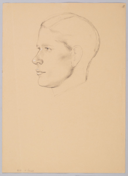 image FDA-D.1586-2017-cr