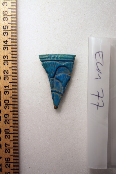 ECM.77-2010-A image ECM.77-2010-A