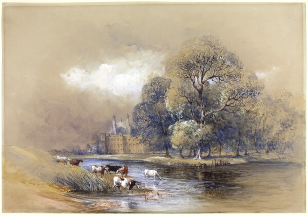 FDA-D.47-2010 image FDA-D.47-2010