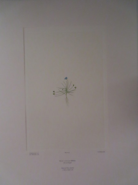 image FDA-E.2916_5_14-2016