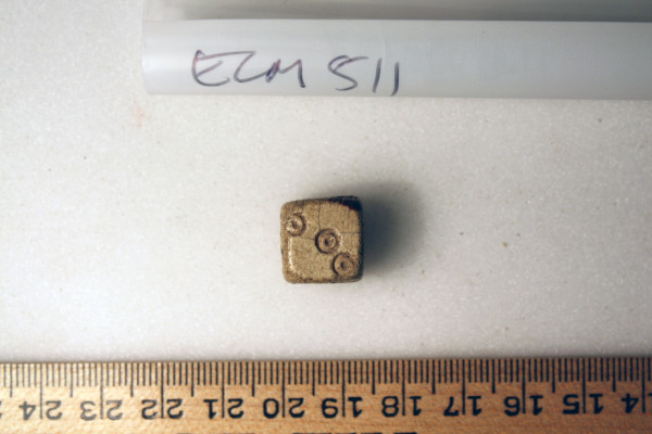 ECM.511-2010-A image ECM.511-2010-A