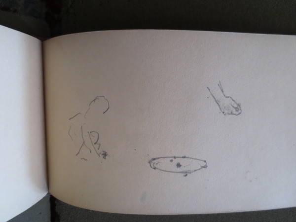 FDA-V.4-2016-S image FDA-V.4-2016-S