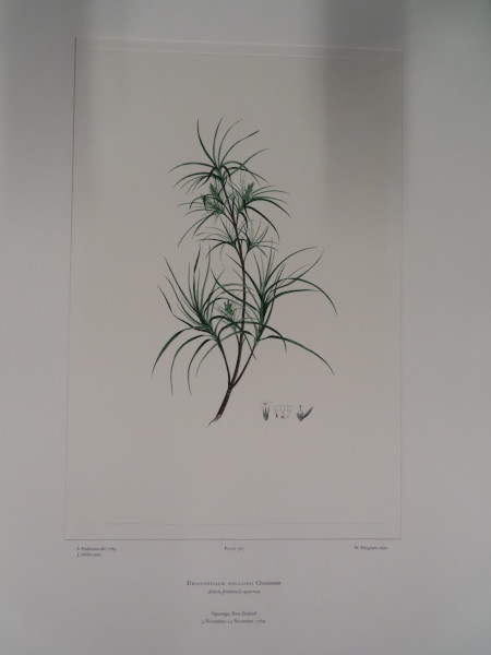 image FDA-E.2916_24_12-2016