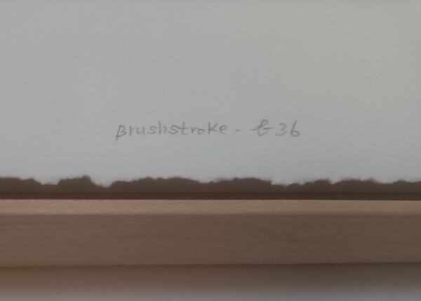 image FDA-D.1772-2024-C