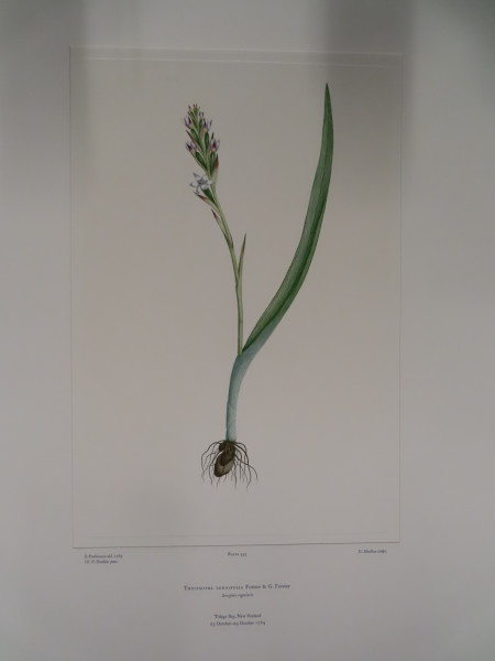 image FDA-E.2916_26_18-2016