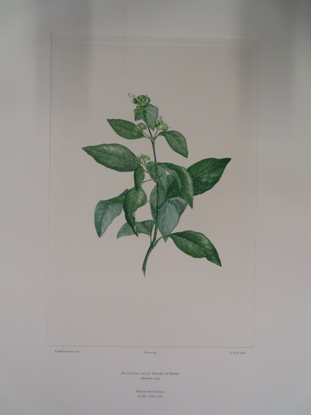 image FDA-E.2916_30_10-2016-A