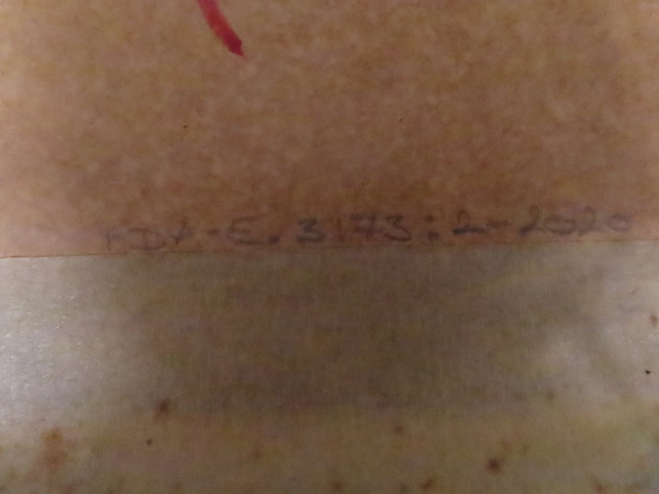 FDA-E.3173_2-2020-C image FDA-E.3173_2-2020-C