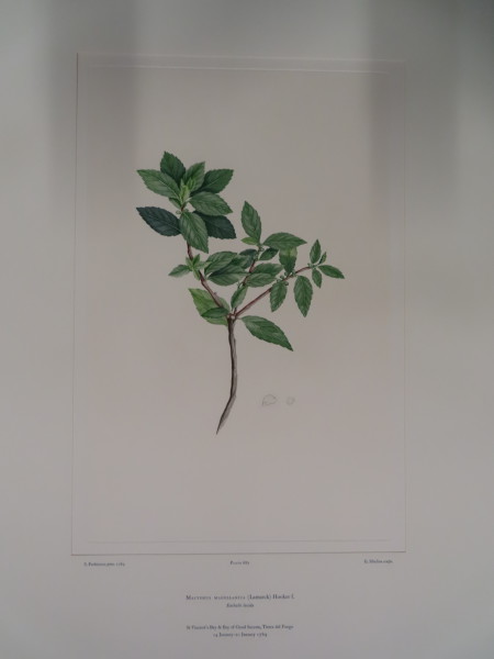 FDA-E.2916_32_12-2016-A image FDA-E.2916_32_12-2016-A