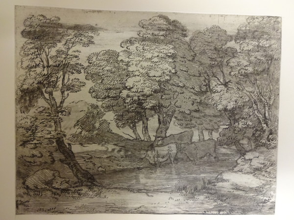 FDA-E.2555_7-2016 image FDA-E.2555_7-2016