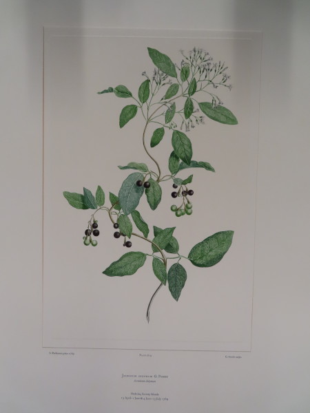 FDA-E.2916_29_16-2016 image FDA-E.2916_29_16-2016