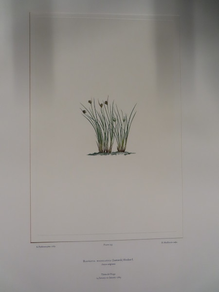 image FDA-E.2916_34_20-2016-A