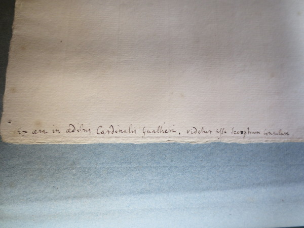 ECL-Bn.10_41-2013-D image ECL-Bn.10_41-2013-D