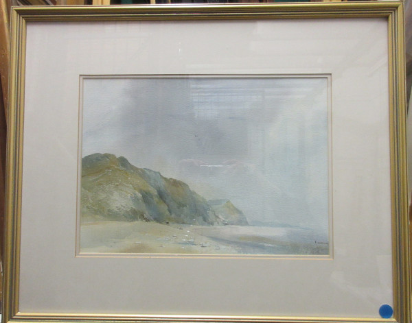 FDA-D.1666-2021-A image FDA-D.1666-2021-A