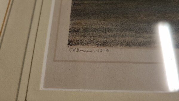 FDA-E.3316-2025-D image FDA-E.3316-2025-D