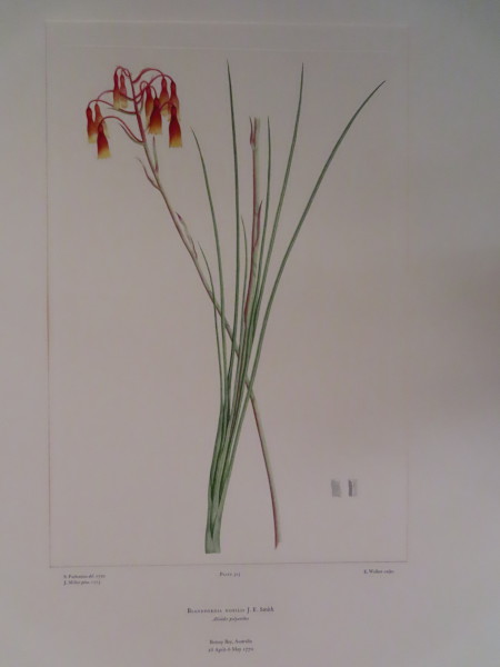 image FDA-E.2916_15_13-2016-A