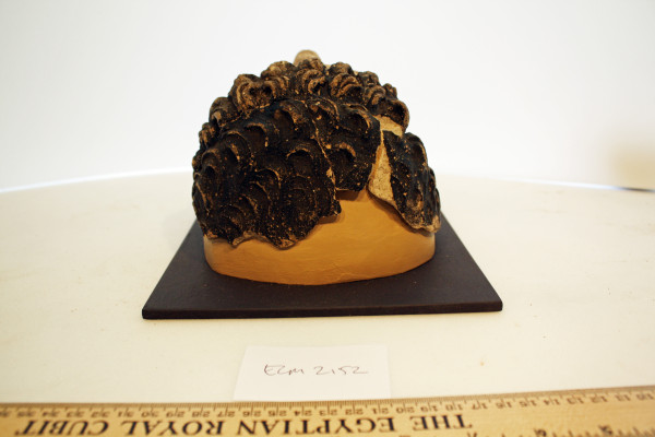 ECM.2152-2010-D image ECM.2152-2010-D