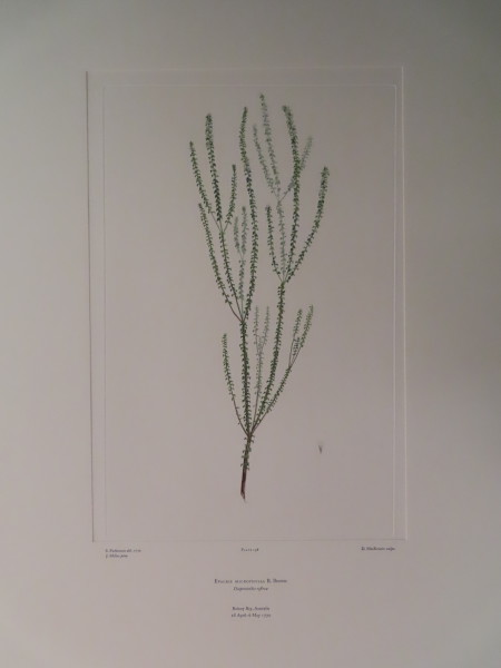 image FDA-E.2916_9_21-2016