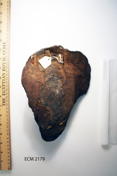 ECM.2179-2010-B image ECM.2179-2010-B