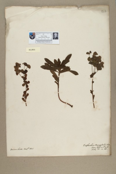 NHM_HH_18.11-2010 image NHM_HH_18.11-2010