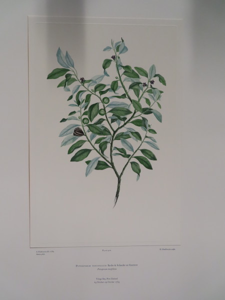 image FDA-E.2916_20_14-2016