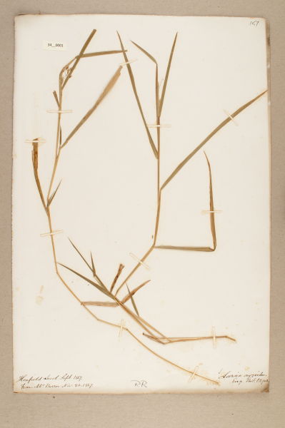 NHM_HH_34.1-2010 image NHM_HH_34.1-2010