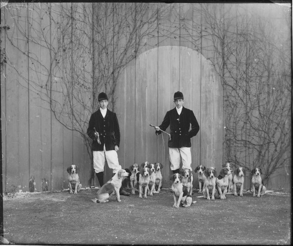 PA-N.827-2024 image PA-N.827-2024