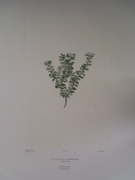 image FDA-E.2916_7_7-2016-A