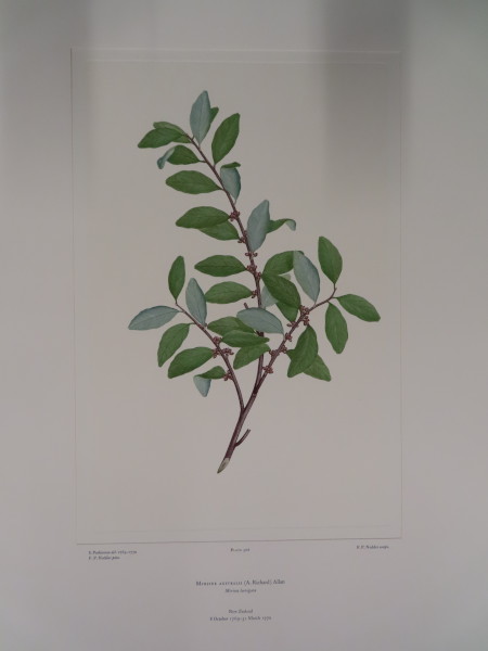 image FDA-E.2916_24_17-2016