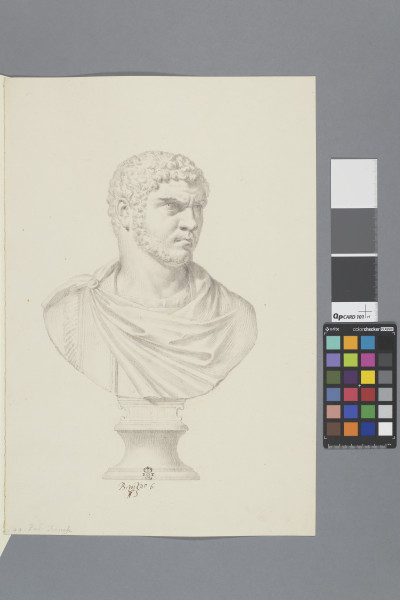 ECL-Bm.7_6-2012 image ECL-Bm.7_6-2012