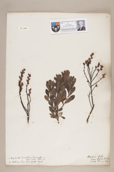 NHM_HH_8.3-2010 image NHM_HH_8.3-2010