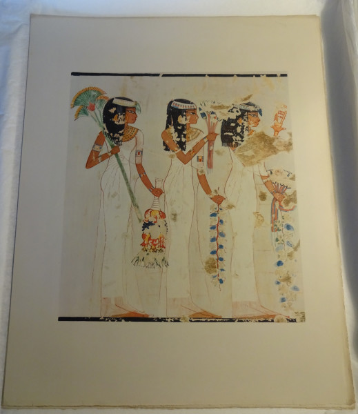 image FDA-E.3055_20-2018