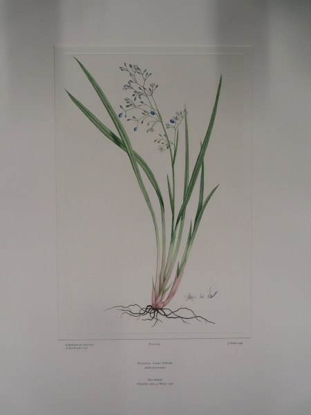 image FDA-E.2916_26_24-2016-A