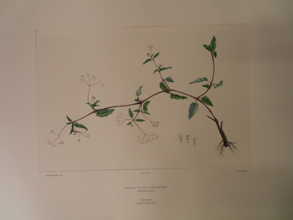 FDA-E.2916_30_15-2016-A image FDA-E.2916_30_15-2016-A