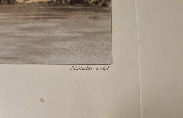 FDA-E.3329-2026-D image FDA-E.3329-2026-D