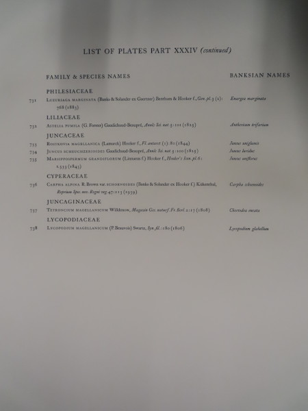 image FDA-E.2916_34_3-2016-A