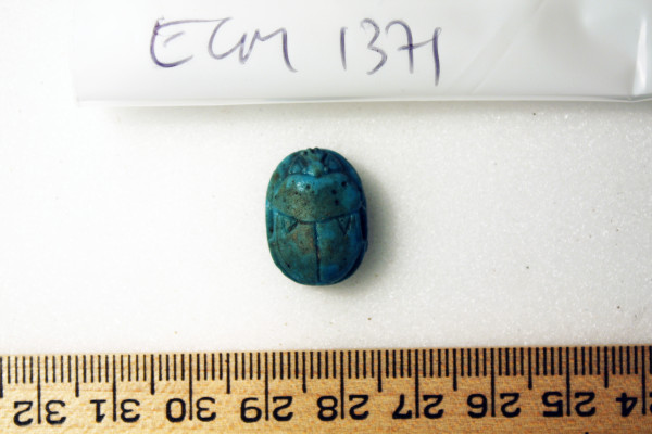 ECM.1371-2010-A image ECM.1371-2010-A