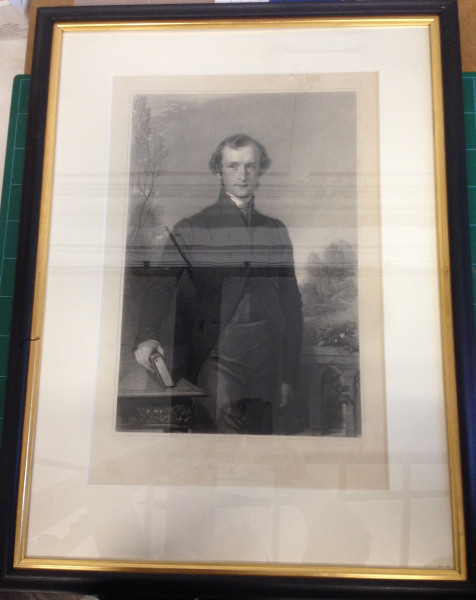 FDA-E.1103-2013 image FDA-E.1103-2013