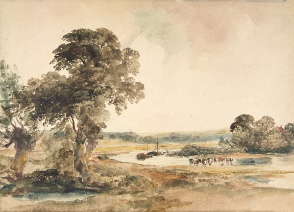 FDA-D.548-2010 image FDA-D.548-2010