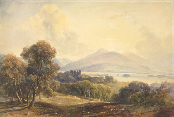 FDA-D.245-2010 image FDA-D.245-2010