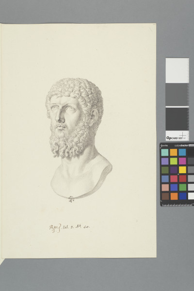 ECL-Bm.3_45-2012-A image ECL-Bm.3_45-2012-A