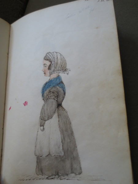 FDA-V.3-2016-ZA image FDA-V.3-2016-ZA