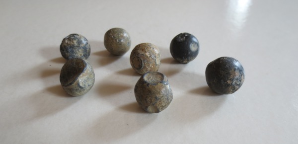 ECL-O.20-2013 image ECL-O.20-2013