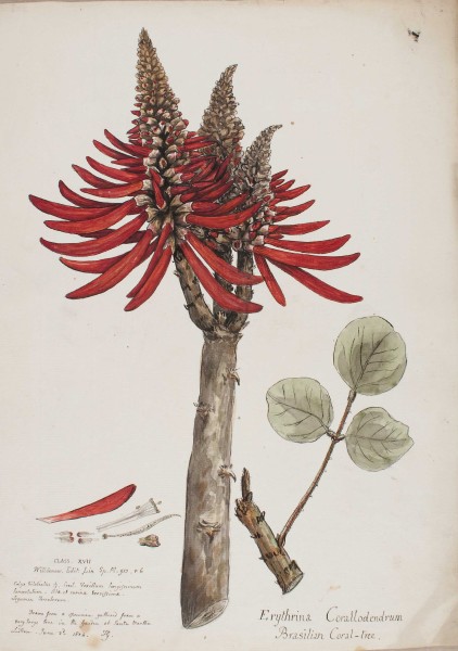 image NHM-HH.10-2014