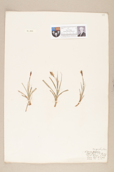 NHM_HH_33.14-2010 image NHM_HH_33.14-2010