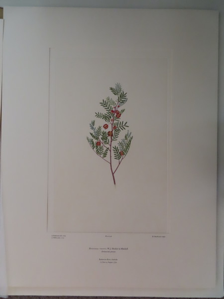 FDA-E.2916_3_4-2016 image FDA-E.2916_3_4-2016